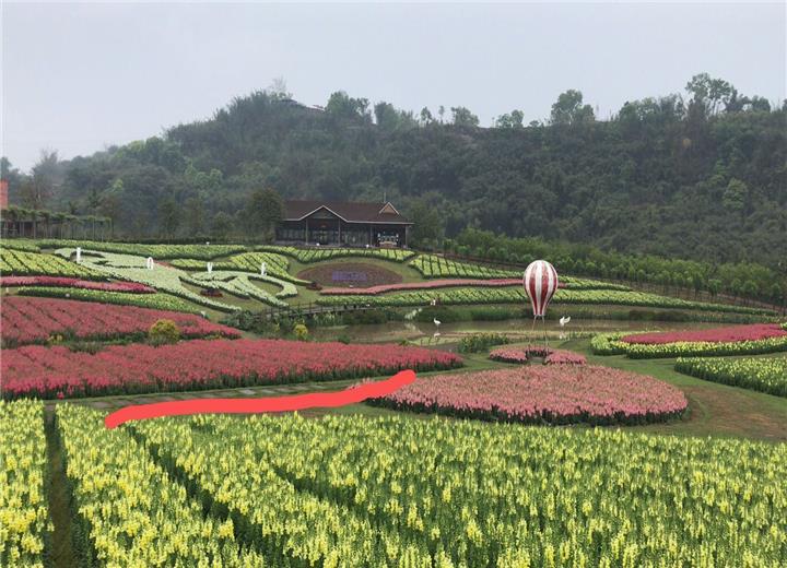 022 蜀南花海景区