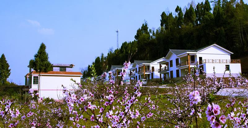 青杠村近景