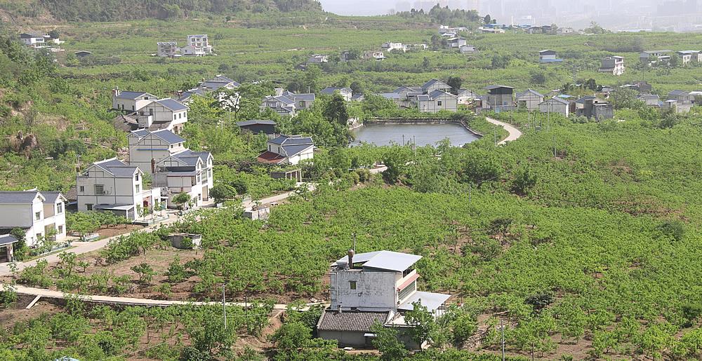 崭山村—寻找四川十大幸福美丽新村